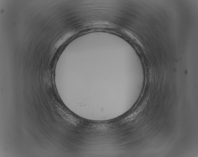 X0000072940970200608181337