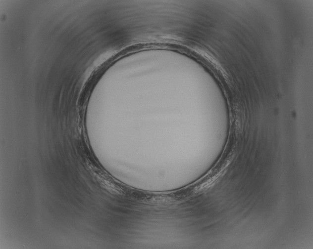 X0000072940974200608181337