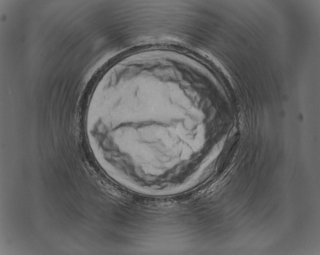 X0000072940975200608181337