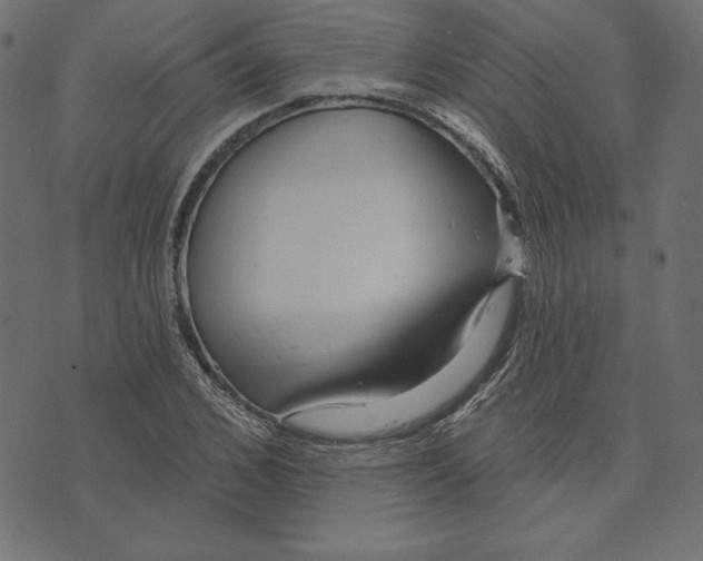 X0000072940976200608181337