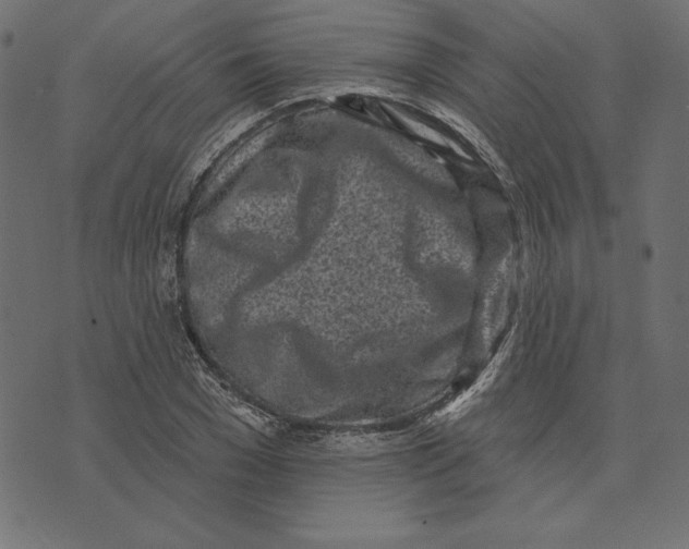 X0000072940977200608181337