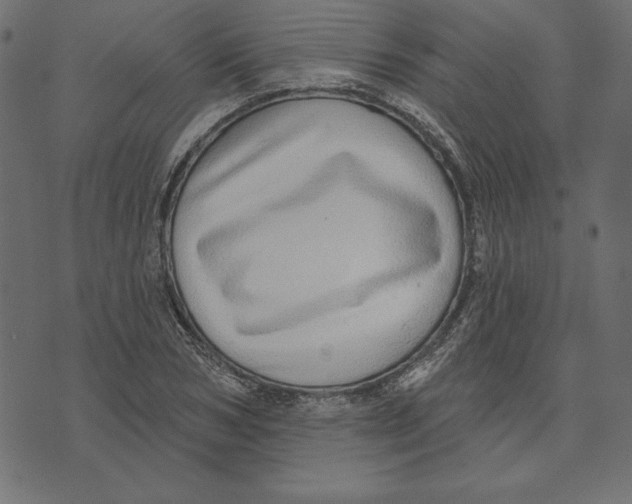 X0000072940978200608181337