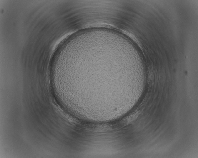 X0000072940979200608181337