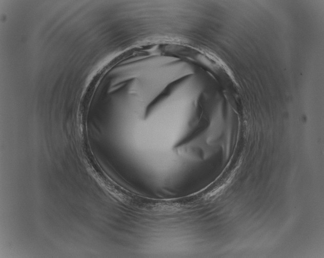 X0000072940981200608181337