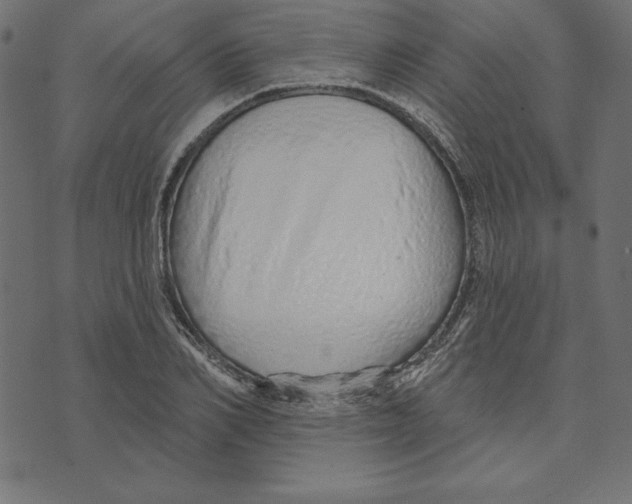 X0000072940982200608181337