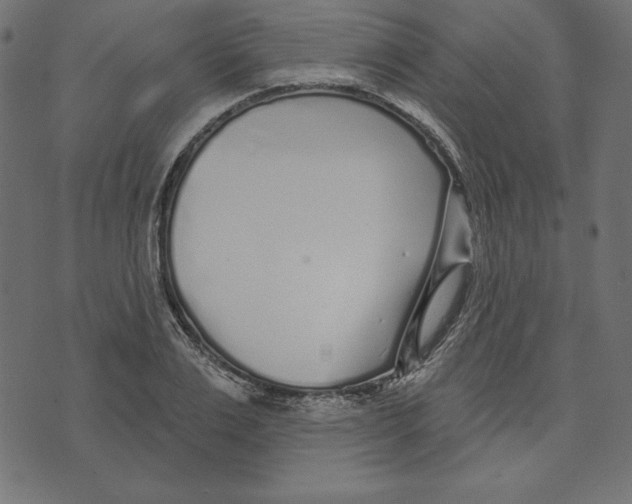 X0000072940983200608181337