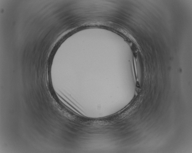 X0000072940984200608181337