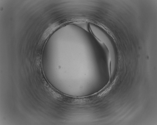 X0000072940985200608181337