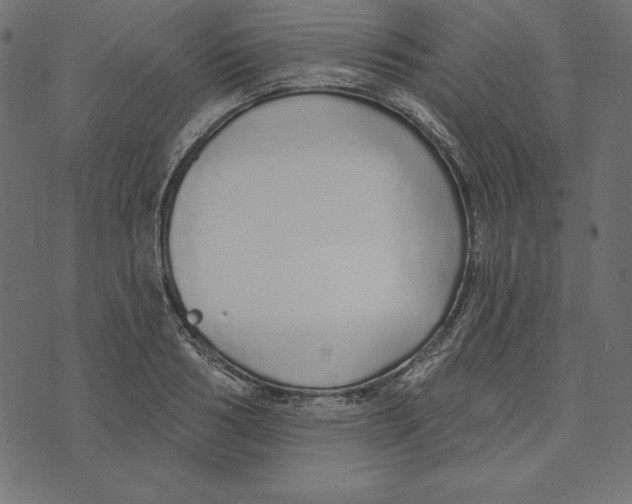 X0000072940986200608181336