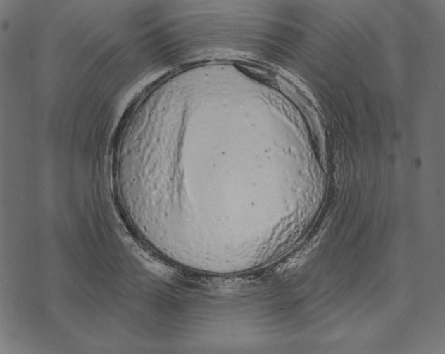 X0000072940987200608181336