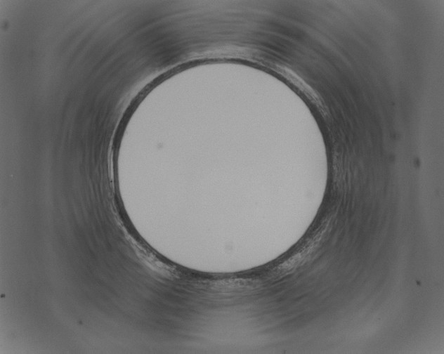 X0000072940988200608181336