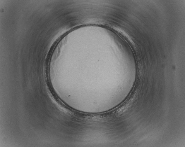 X0000072940991200608181336