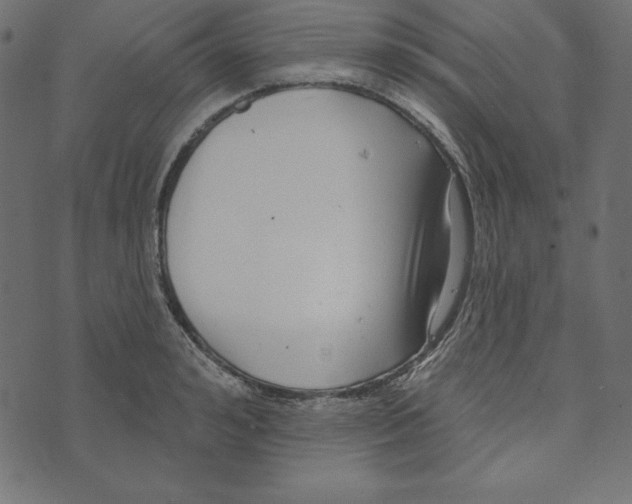 X0000072940992200608181336