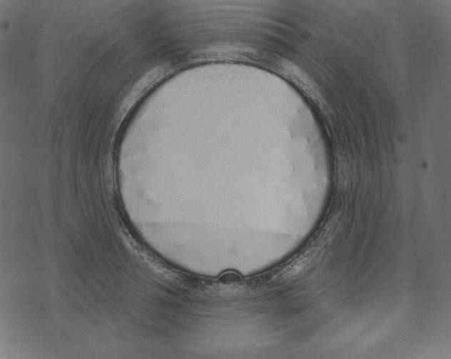 X0000072940994200608181336