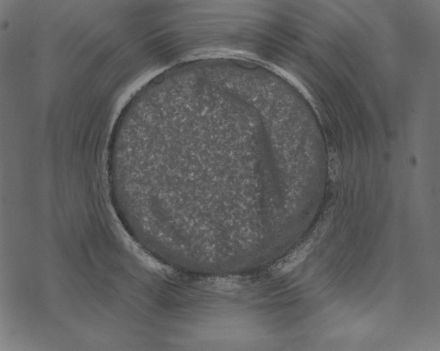 X0000072940995200608181336