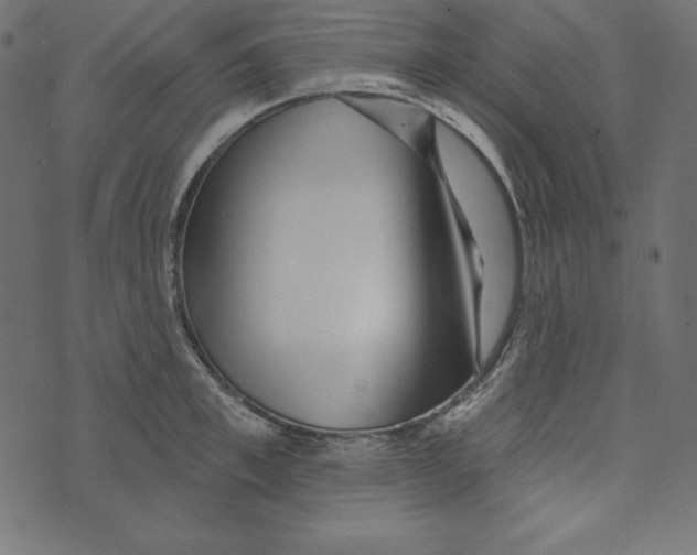 X0000072940997200608181336