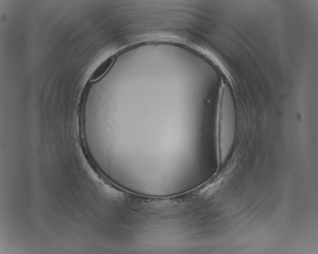 X0000072940999200608181336