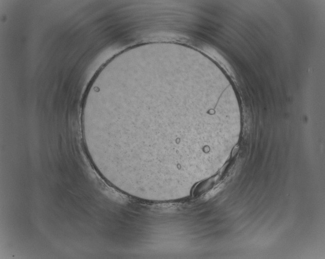 X0000072941000200608181336