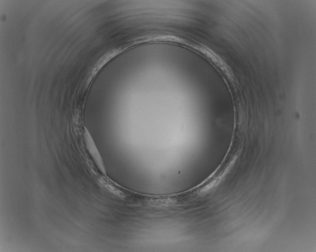 X0000072941001200608181336