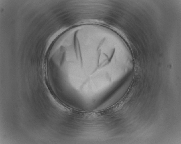 X0000072941003200608181336