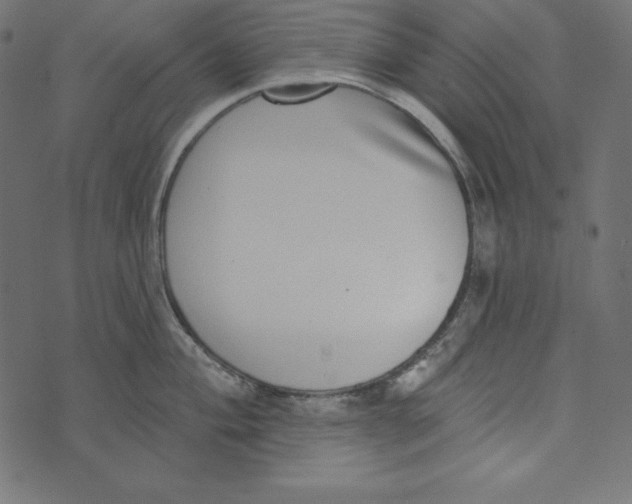 X0000072941004200608181336