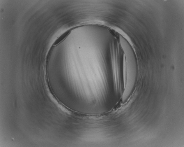 X0000072941005200608181336