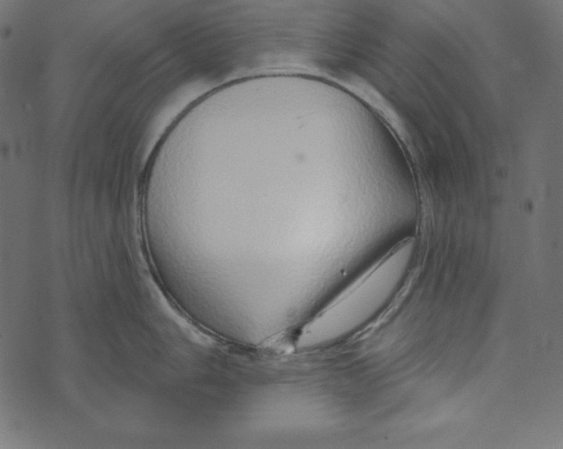 X0000072941006200608181336