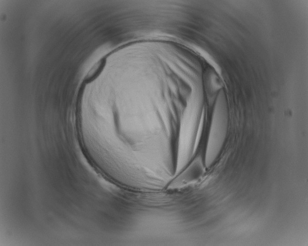 X0000072941007200608181336