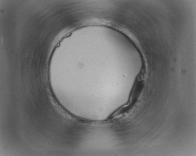 X0000072941008200608181336