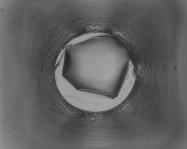 X0000072941009200608181335