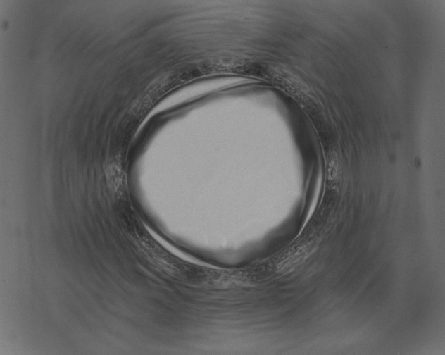 X0000072941011200608181335