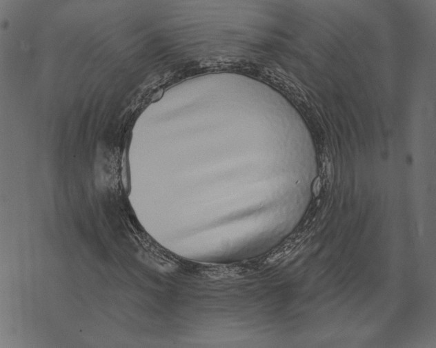 X0000072941012200608181335