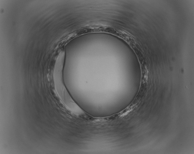 X0000072941014200608181335