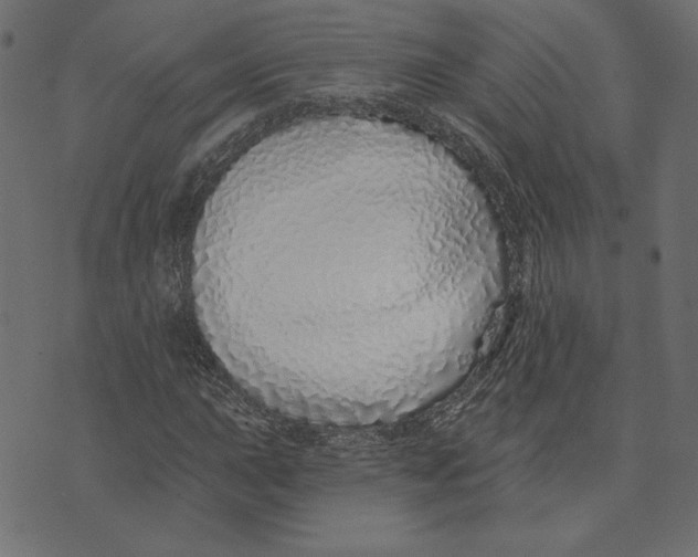 X0000072941015200608181335