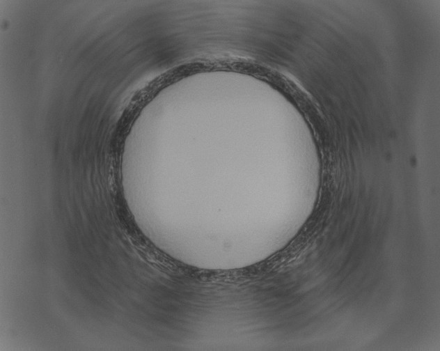 X0000072941016200608181335