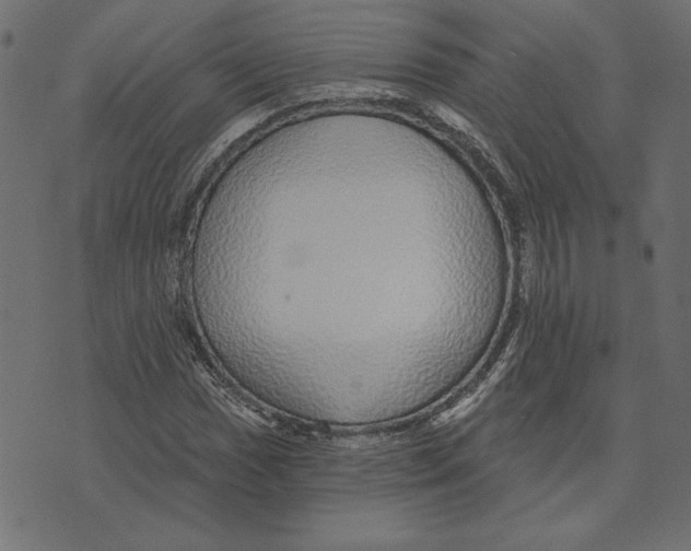 X0000072941017200608181335