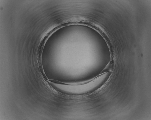 X0000072941018200608181336