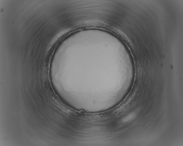 X0000072941019200608181336