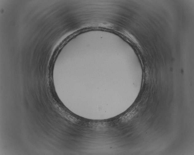 X0000072941020200608181336