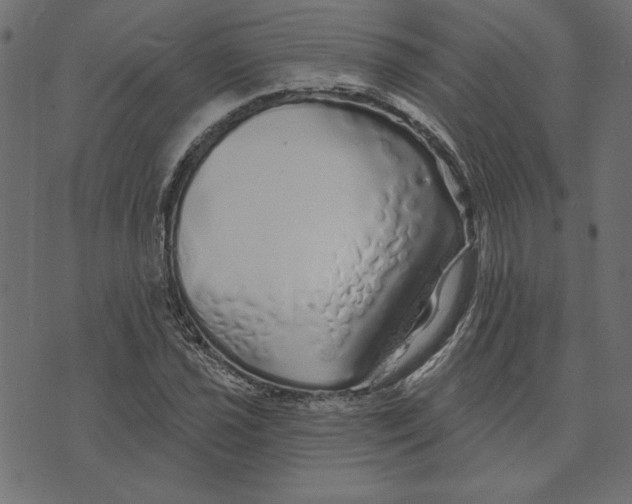 X0000072941021200608181336