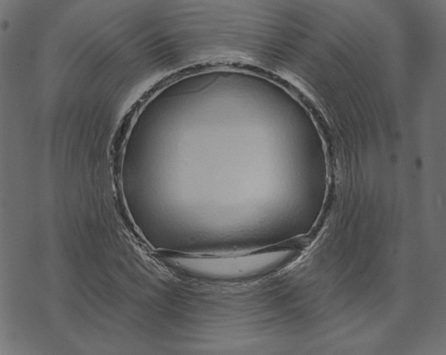 X0000072941022200608181336