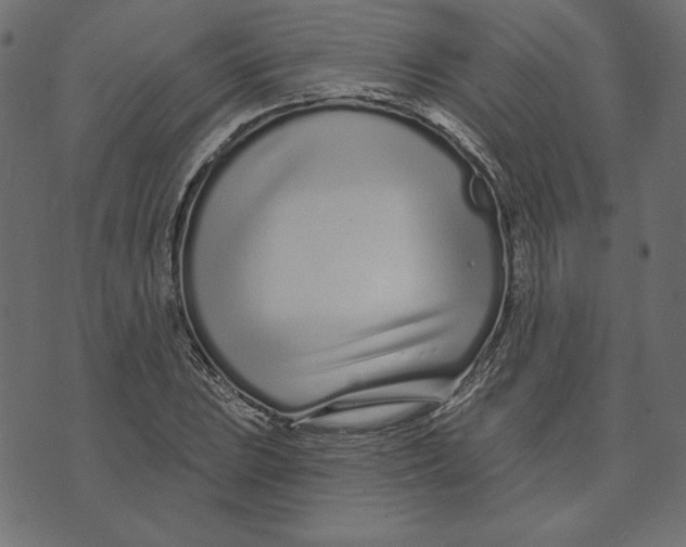 X0000072941023200608181336