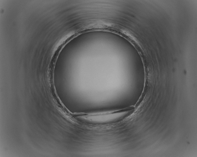 X0000072941026200608181336