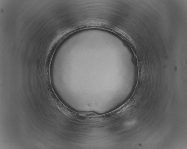 X0000072941027200608181336