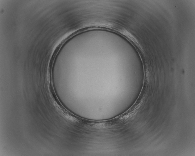 X0000072941028200608181336