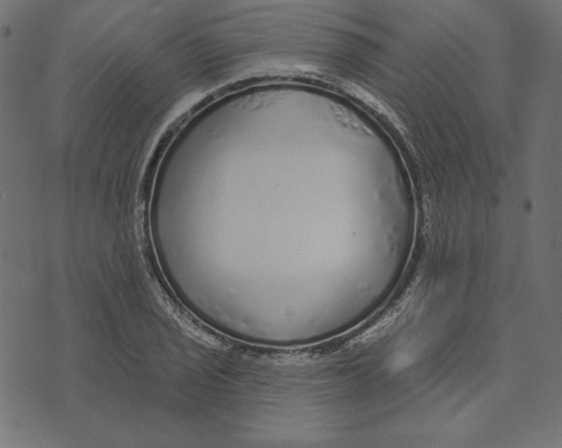 X0000072941029200608181336