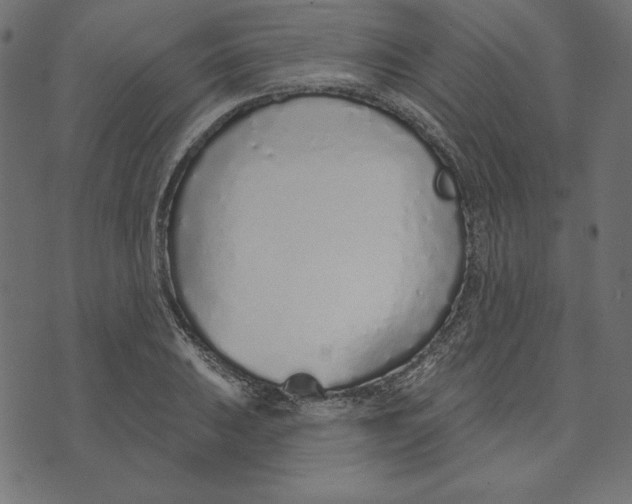 X0000072941031200608181336