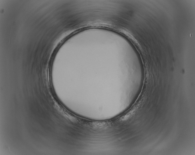 X0000072941032200608181336