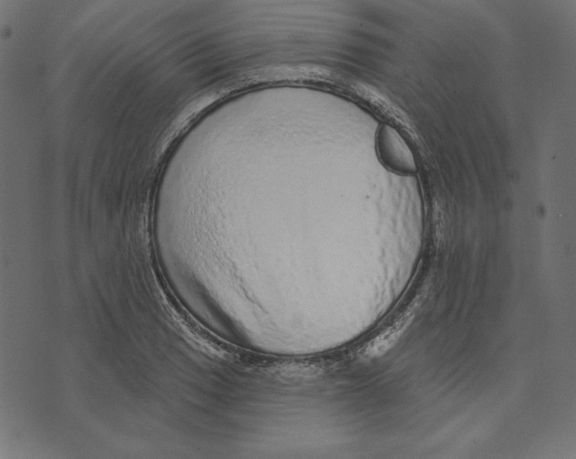 X0000072941033200608181336