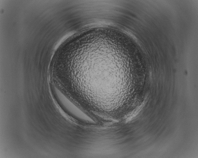 X0000072941034200608181336